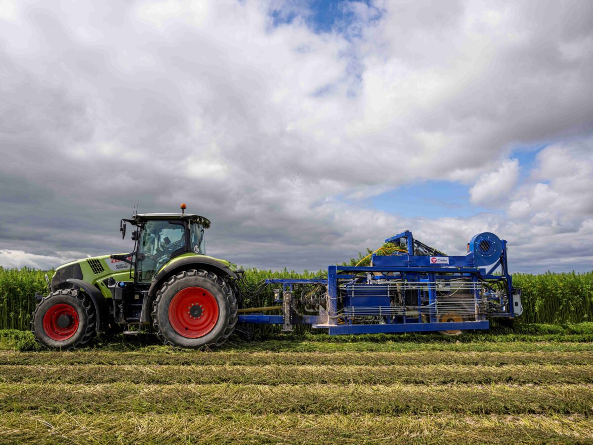 Cretes Hemp for textiles 103web